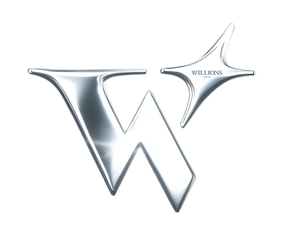 willionsjewelry